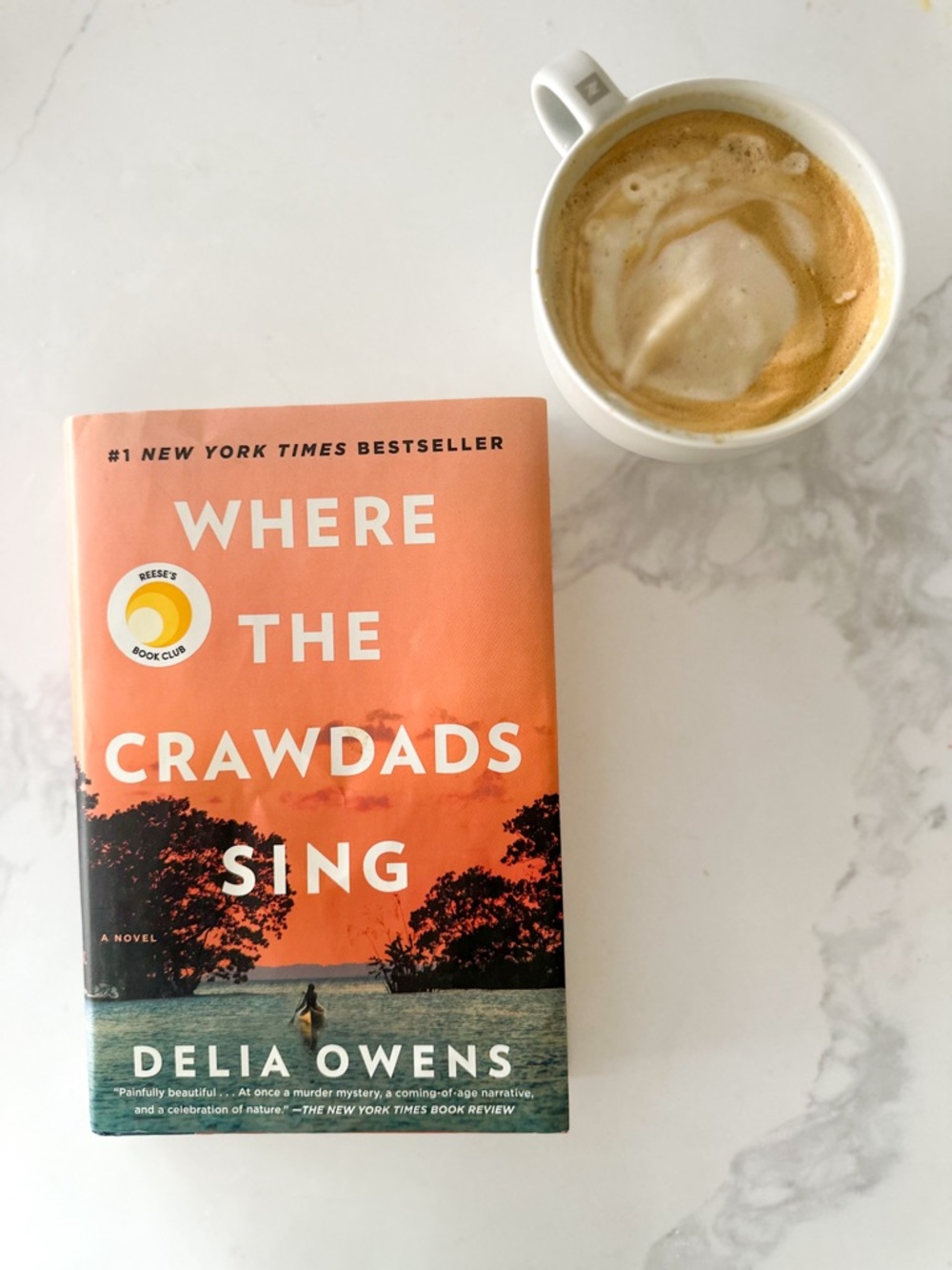 Where the Crawdads Sing by Delia Owens Bestseller | BookTok Favourite | Like New